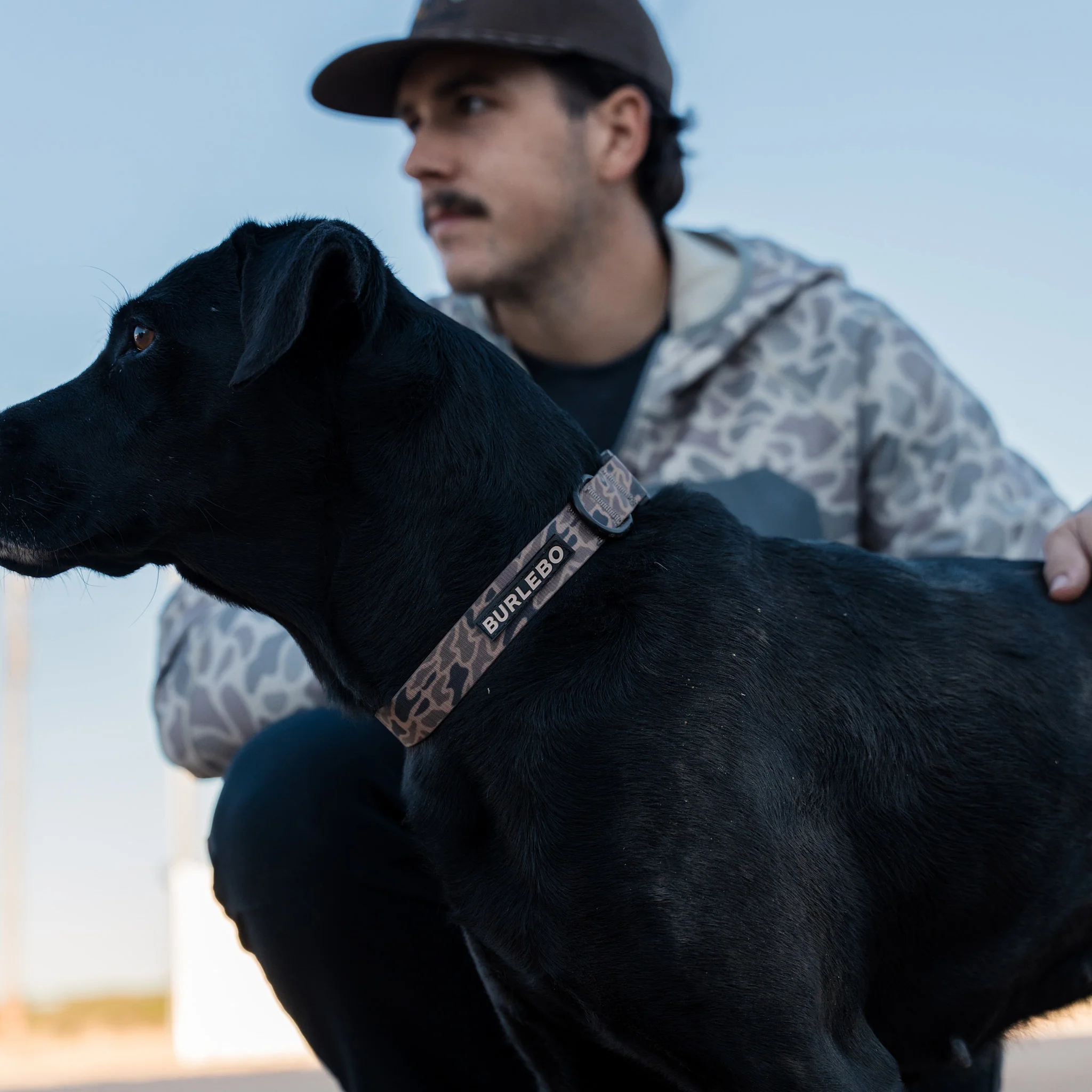 Dog Collar - Gauge Camo - Image 4